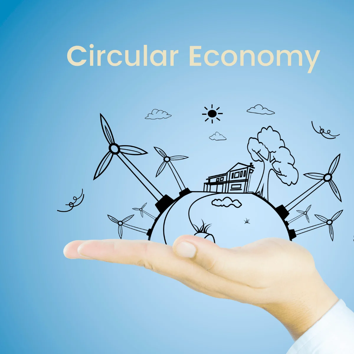 Circular Economy