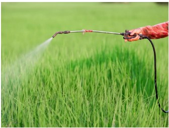 regulation on insecticides