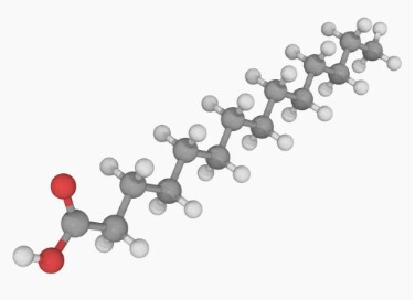 Fatty Acids Quality Control