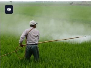 India Adds 6 New Insecticides to 1968 Act